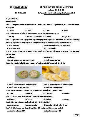 Đề thi thử THPT Quốc gia môn Sinh học năm 2019 lần 1 - Sở giáo dục và đào tạo Lào Cai